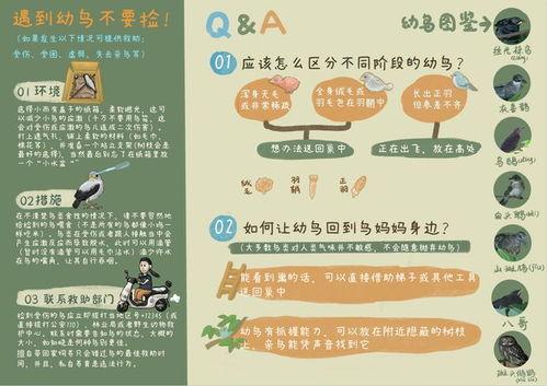 吃瓜大赛宣传词语,吃瓜大赛，一夏狂欢等你来