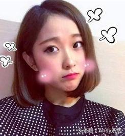 网红怎么像明星,揭秘网红明星化之路